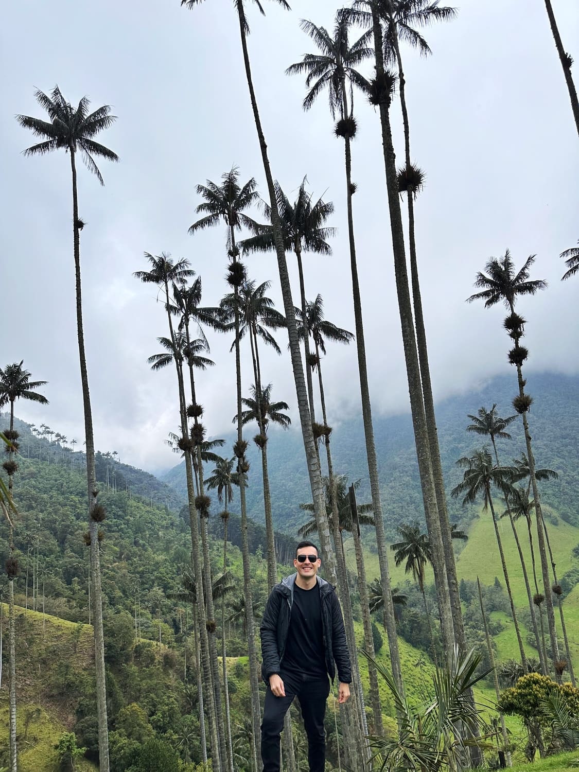 Colombia, Valle de Cocora